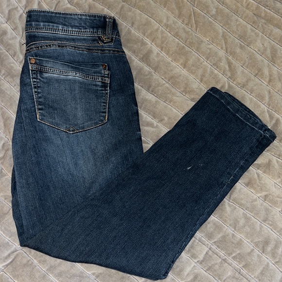 DEMOCRACY Blue Ab Solution Skinny Jeans - Picture 6 of 6